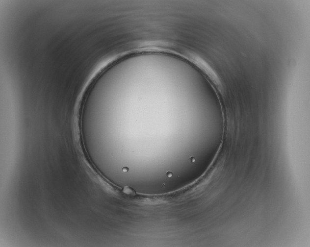 X0000112391384200908271331