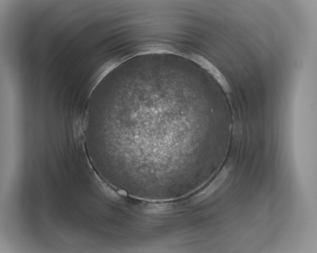 X0000112391385200908271331