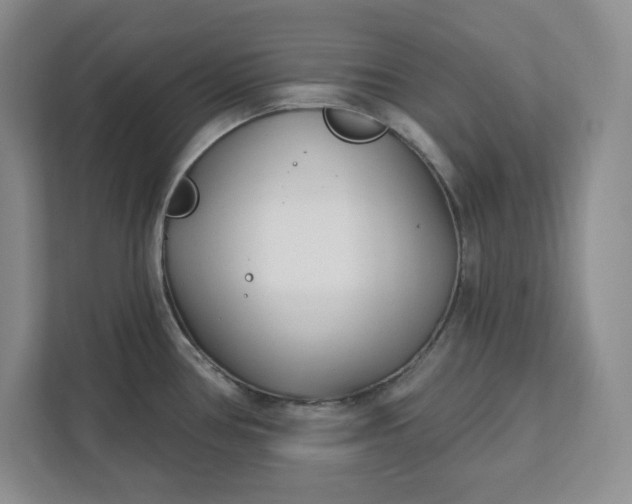 X0000112391386200908271331