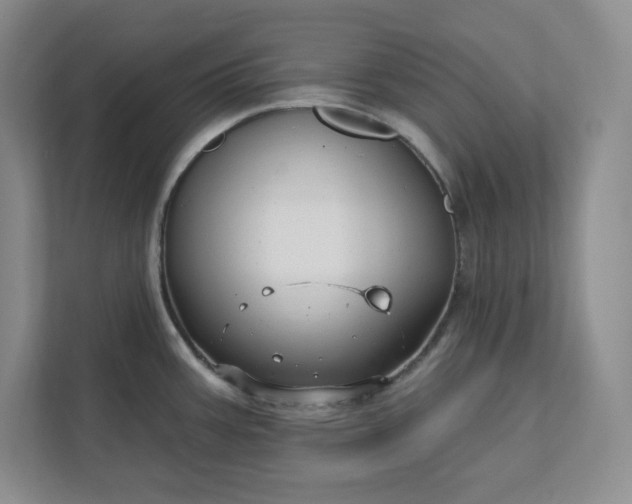 X0000112391387200908271331