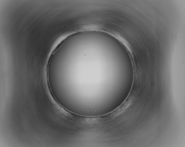 X0000112391389200908271331