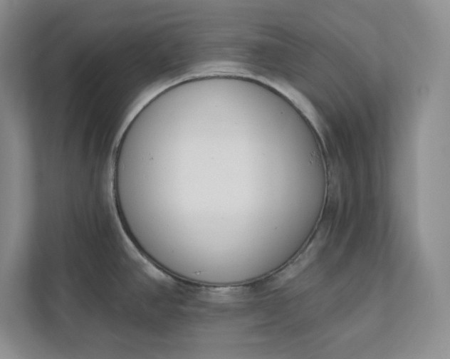 X0000112391390200908271331