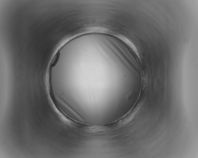 X0000112391391200908271331