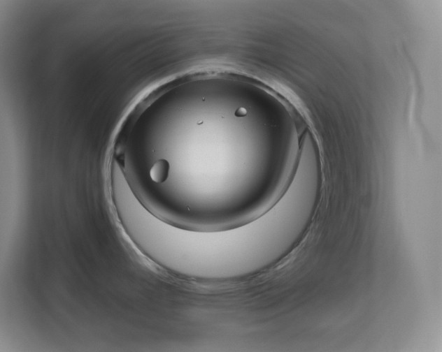 X0000112391392200908271331