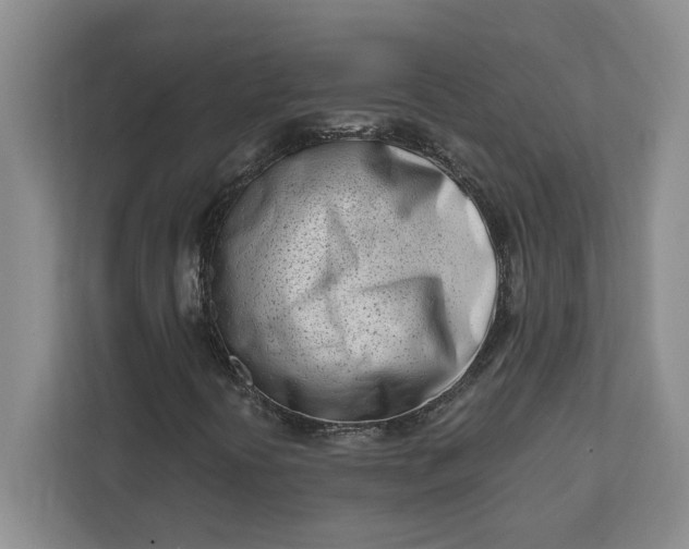 X0000112391394200908271330