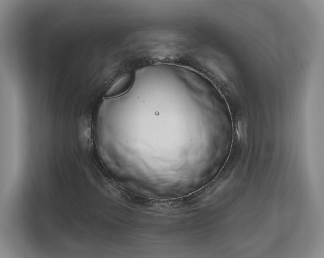 X0000112391396200908271330