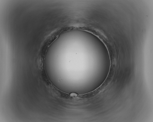 X0000112391398200908271330