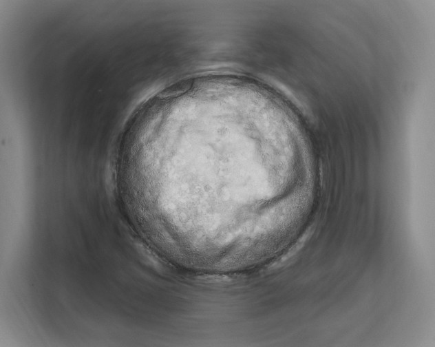 X0000112391405200908271330