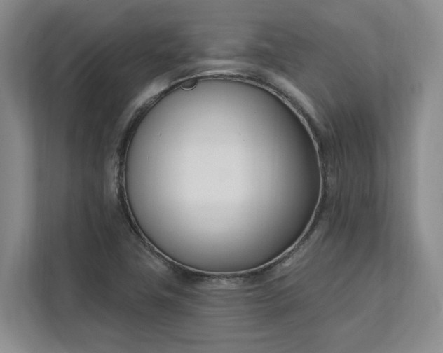 X0000112391411200908271330