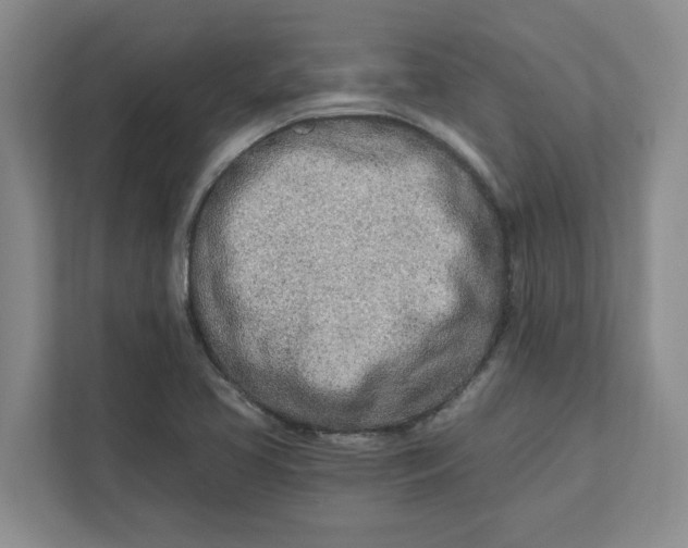 X0000112391413200908271330