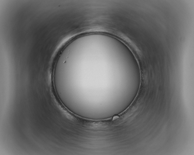 X0000112391416200908271331