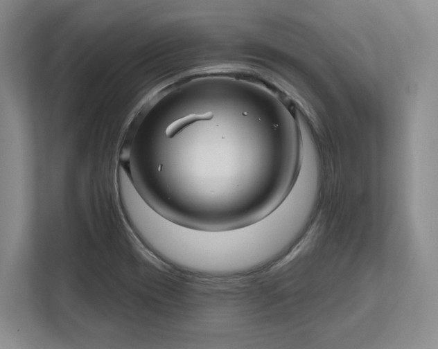 X0000112391417200908271331