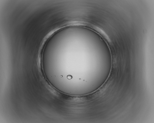 X0000112391419200908271331