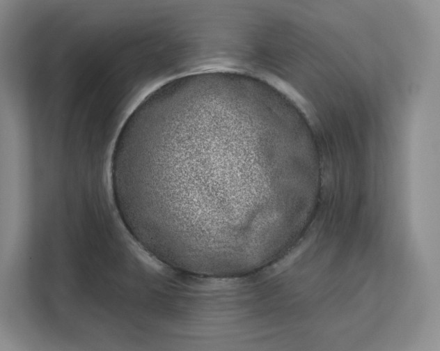 X0000112391423200908271331