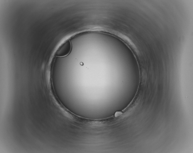 X0000112391424200908271331