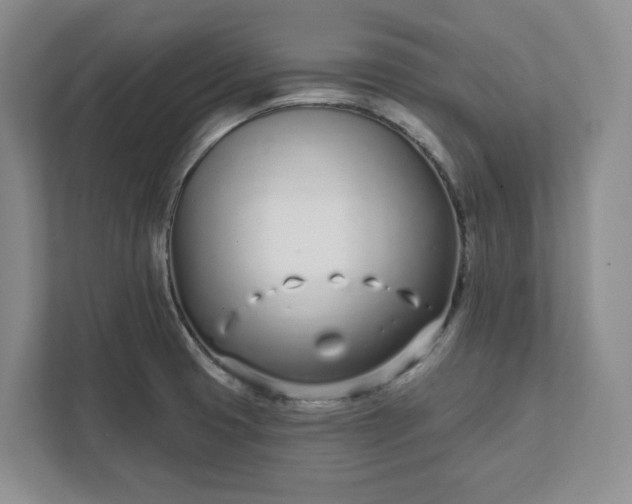 X0000112391425200908271331