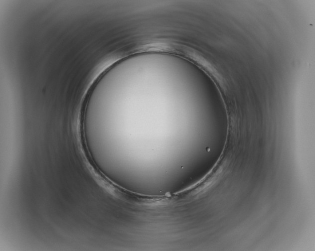 X0000112391426200908271331