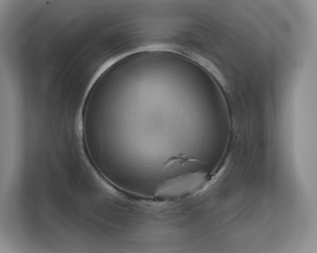 X0000112391428200908271331