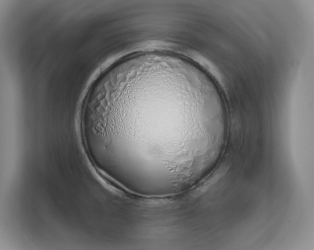 X0000112391429200908271331