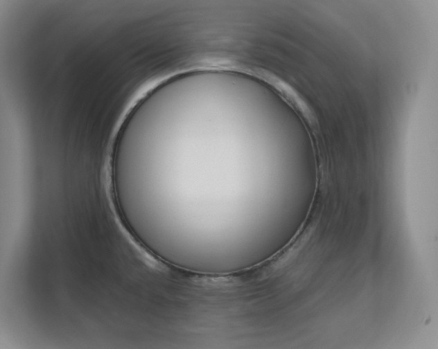 X0000112391432200908271331