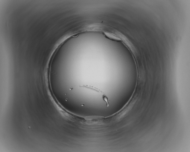 X0000112391434200908271331