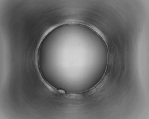 X0000112391437200908271331