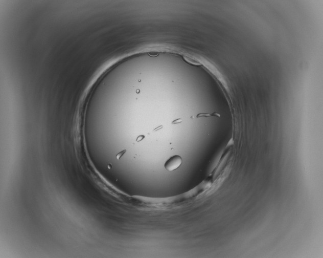 X0000112391438200908271331