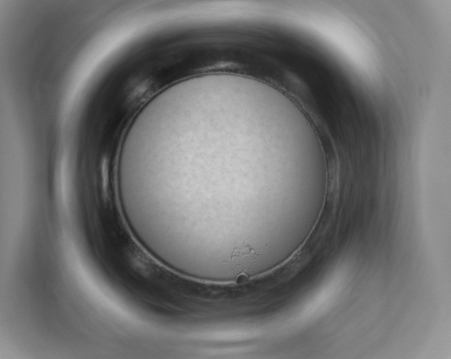 X0000112391439200908271331