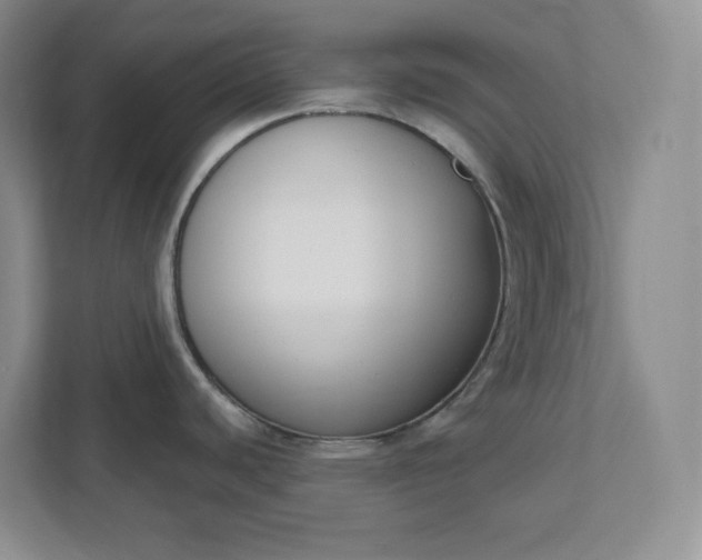 X0000112391440200908271331