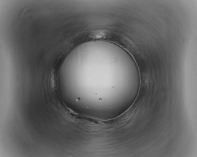 X0000112391442200908271330