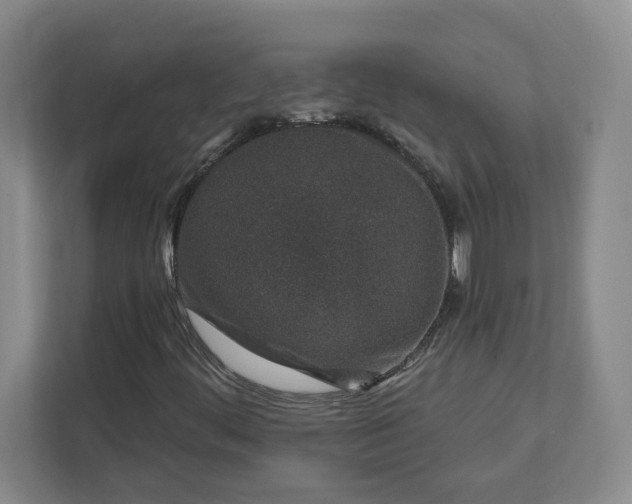 X0000112391444200908271330