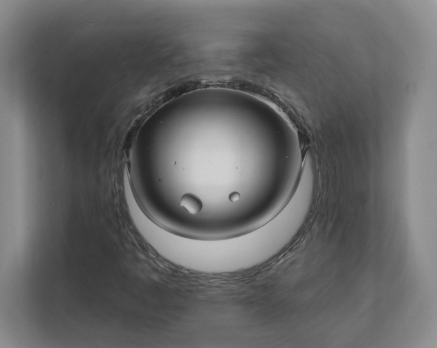 X0000112391445200908271330