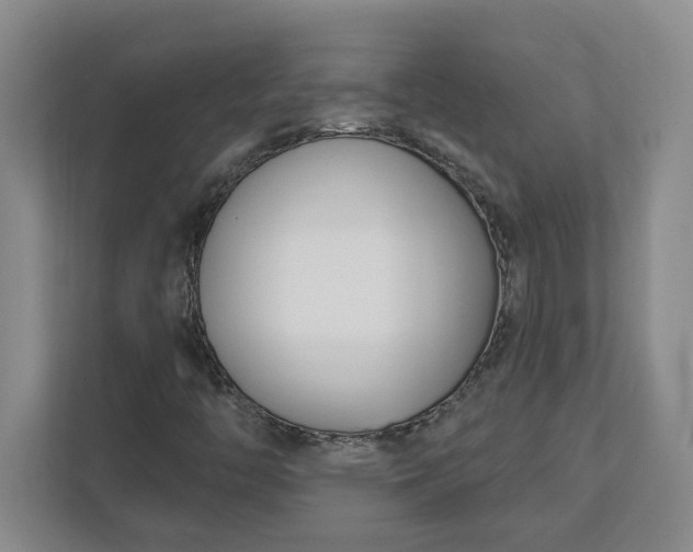 X0000112391446200908271330