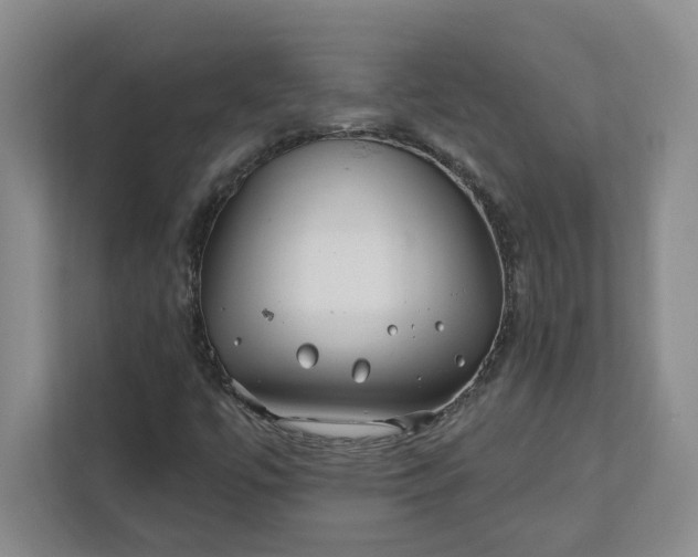 X0000112391447200908271330