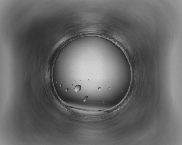 X0000112391450200908271330