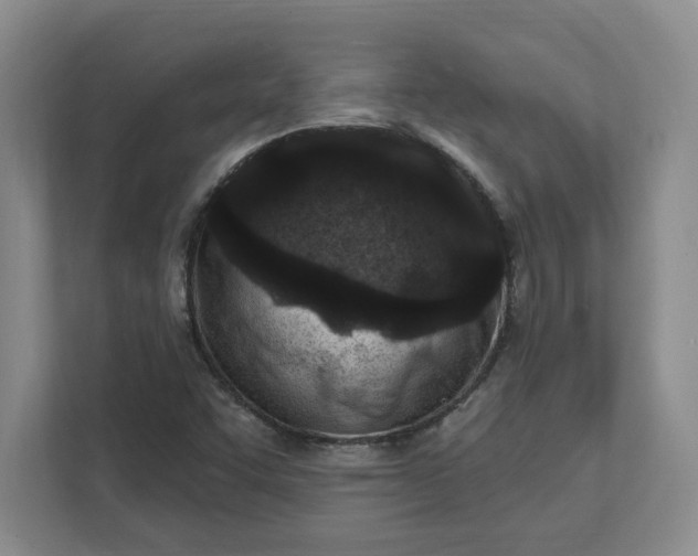 X0000112391455200908271330