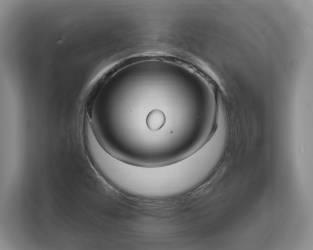 X0000112391456200908271330