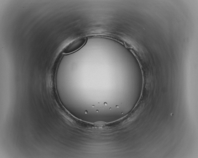 X0000112391458200908271330