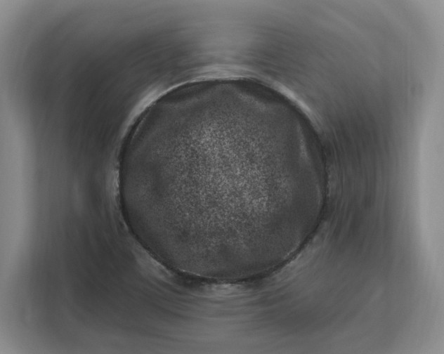 X0000112391459200908271330