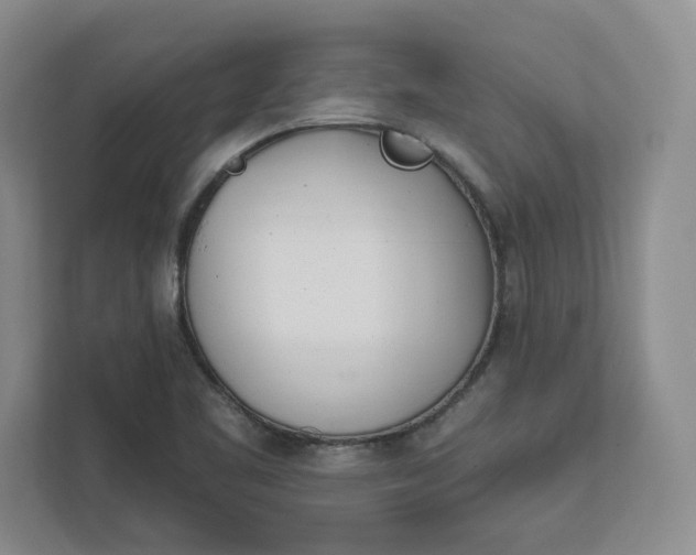 X0000112391461200908271330