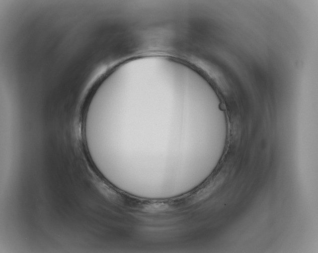 X0000112391462200908271330