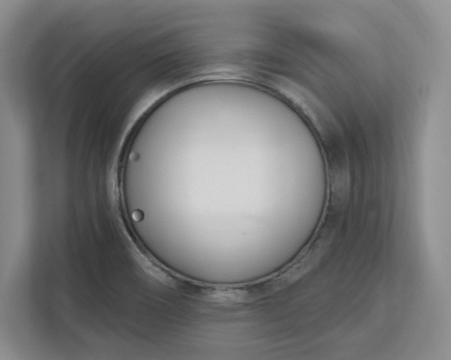 X0000112391466200908271330