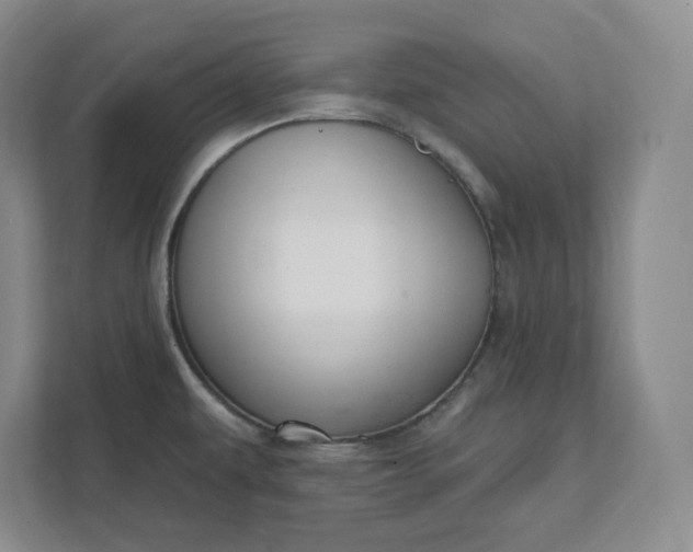 X0000112391479200908271330