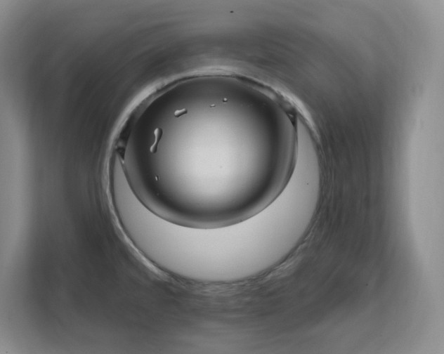 X0000112391480200908271330