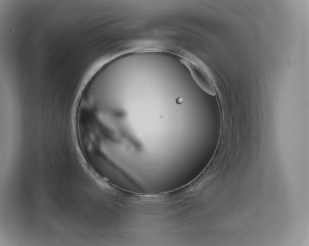 X0000112391488200908271330