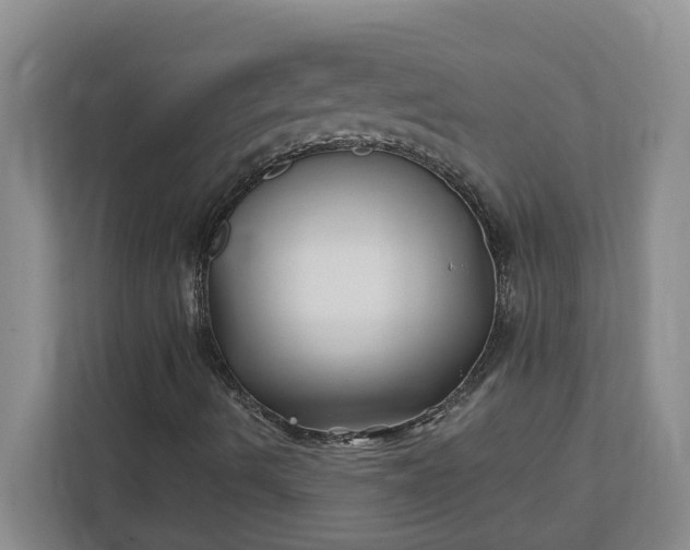 X0000112391490200908271329