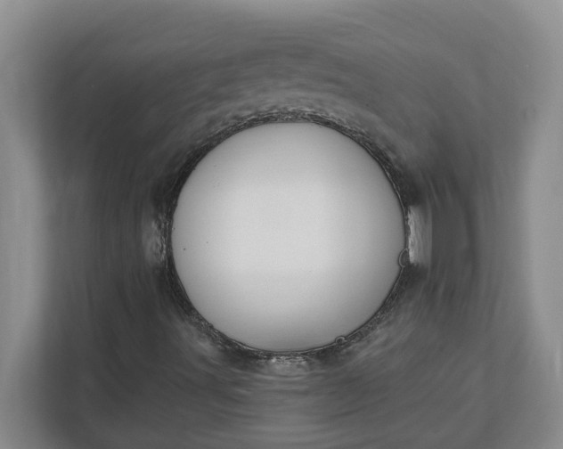 X0000112391491200908271329