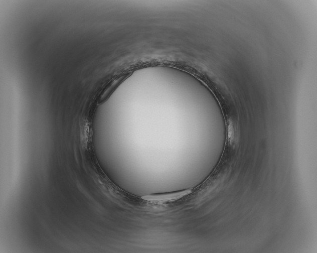 X0000112391492200908271329