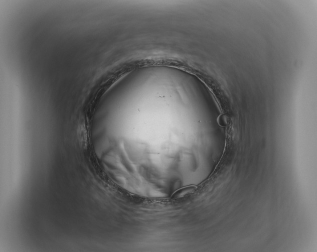 X0000112391493200908271329