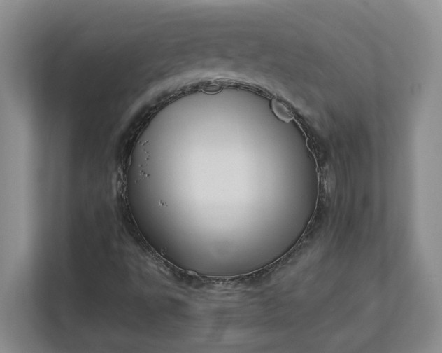 X0000112391495200908271329